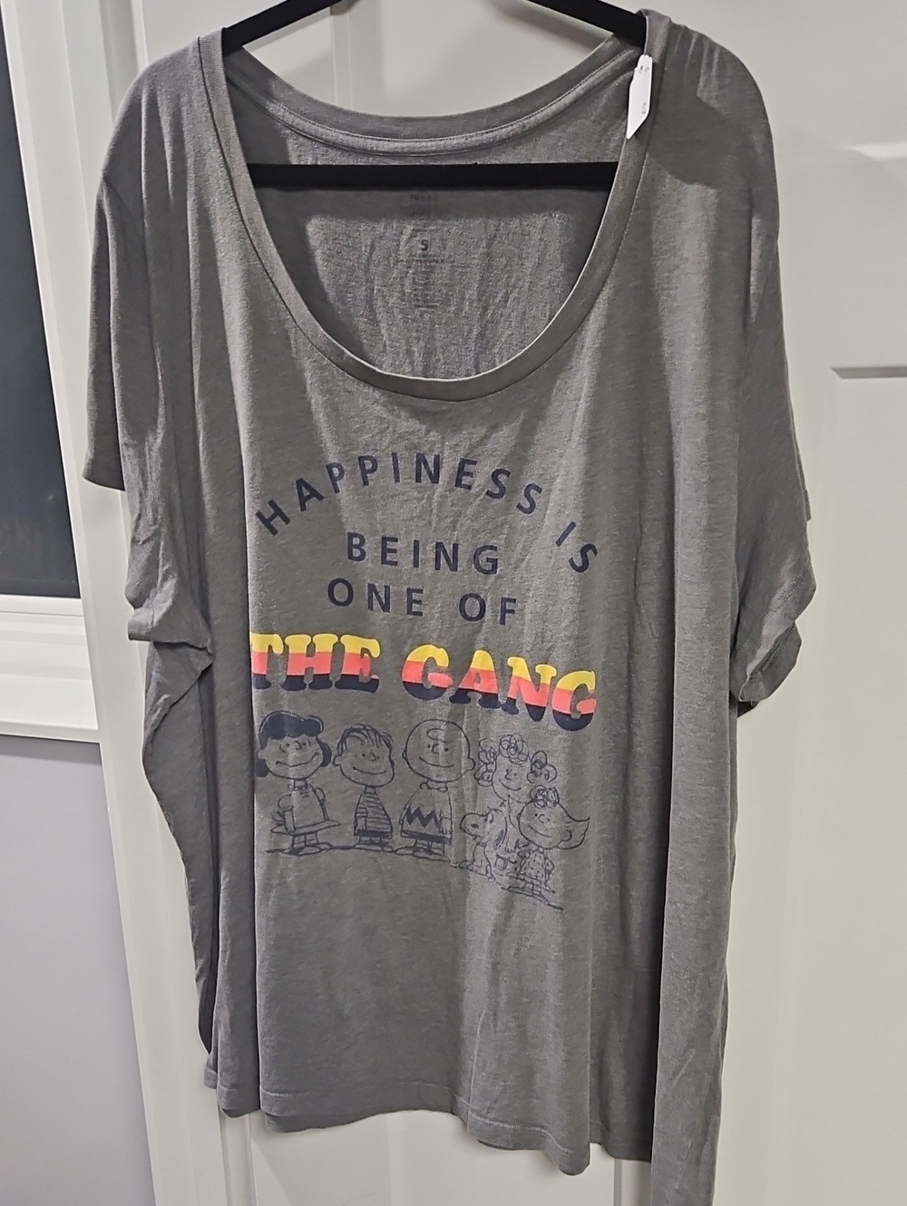 Peanuts Gray Short-Sleeve Tee with Colorful 'The Gang' Graphic
